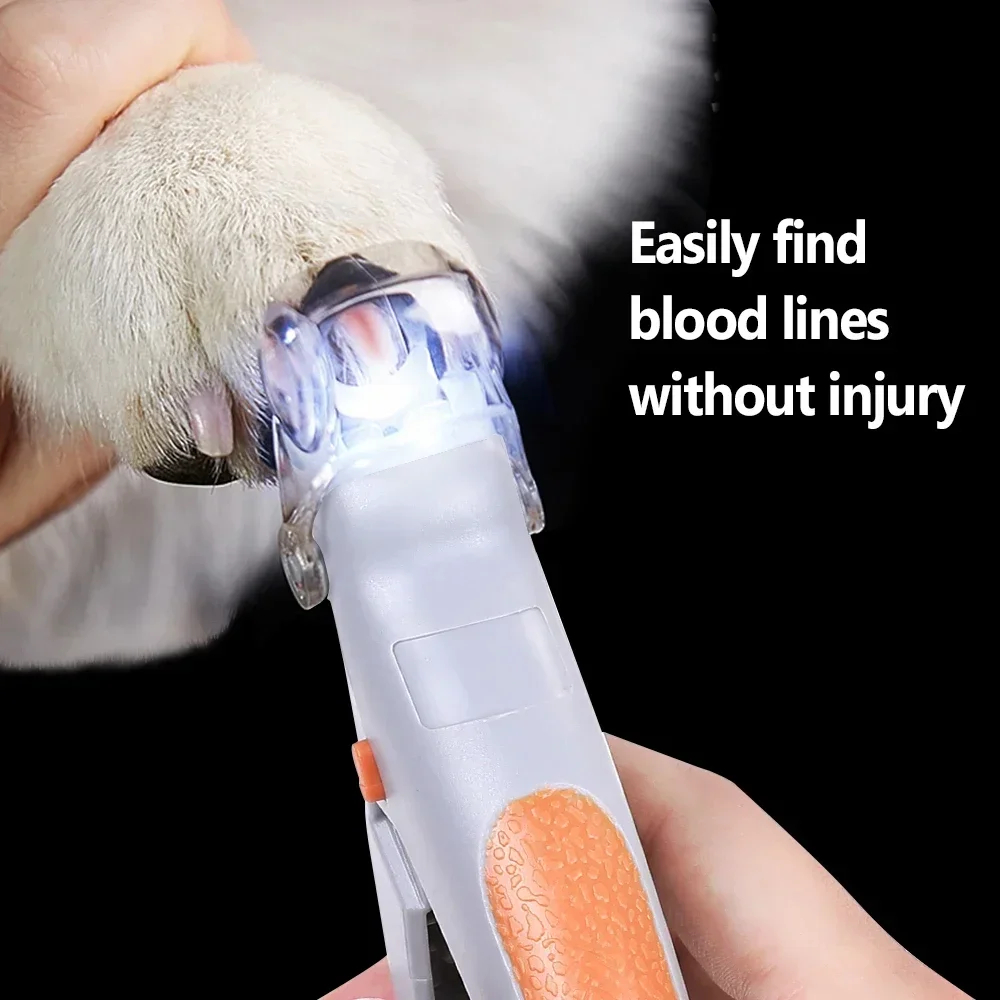 LED 조명이 있는 고양이와 강아지용 전문 애완동물 발 - Grooming Scissors 리뷰 및 가격